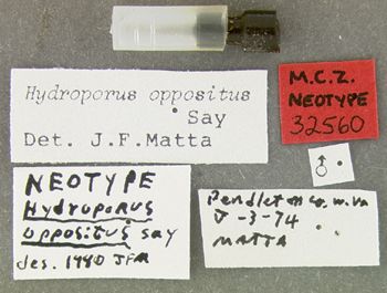 Media type: image;   Entomology 32560 Aspect: labels